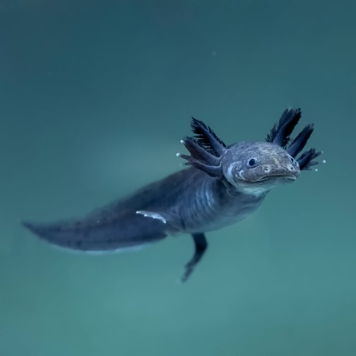A56640D5 768E 45EC 8152 436E8F9E0CD9 scaled