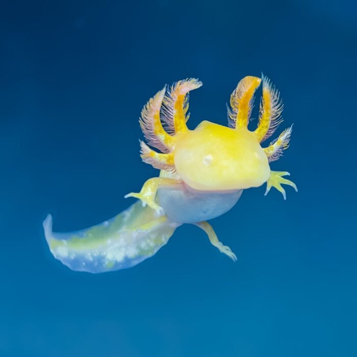IMG 2456 scaled